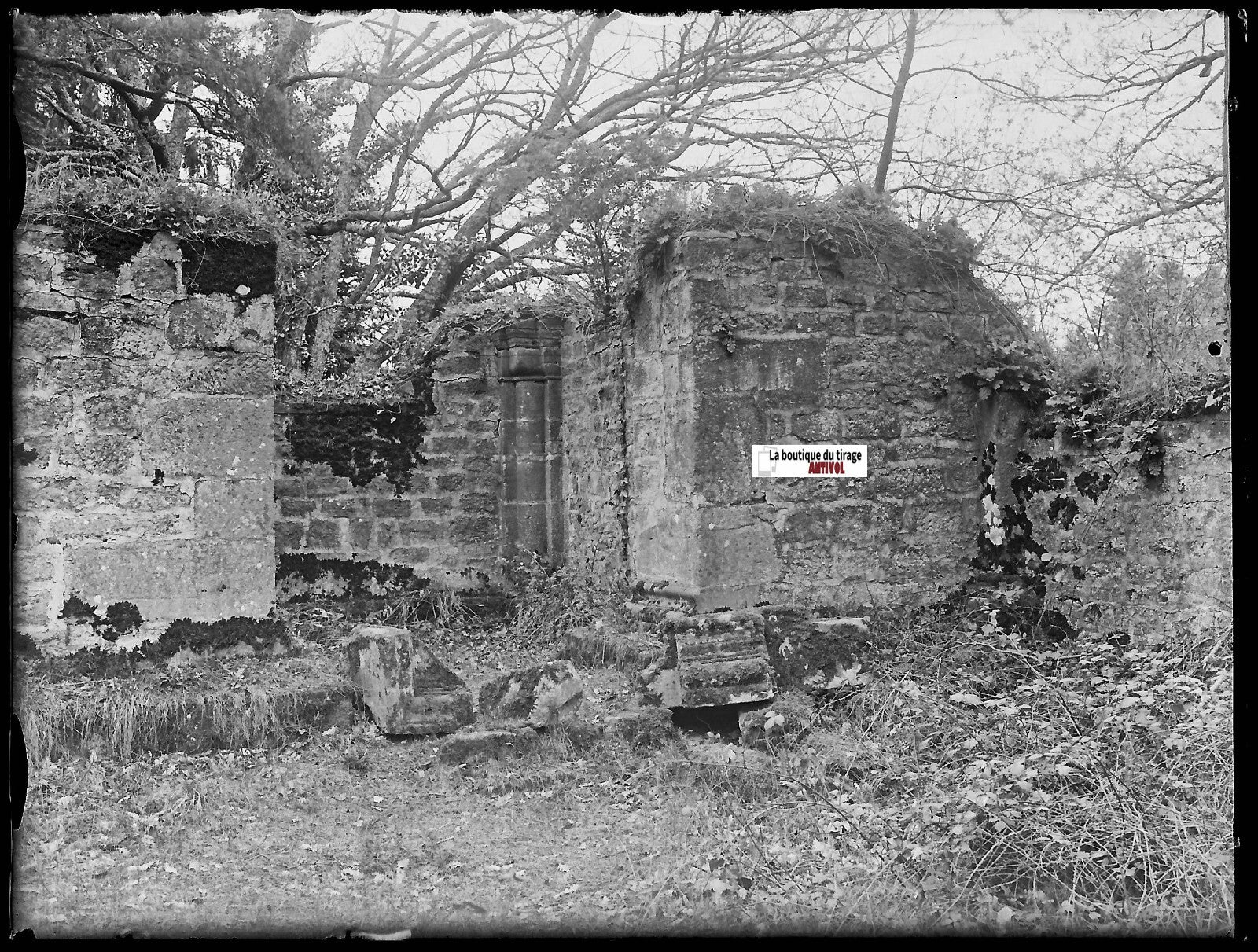Ruine vers Mont Sainte Odile, Plaque verre photo, négatif noir & blanc 9x12 cm