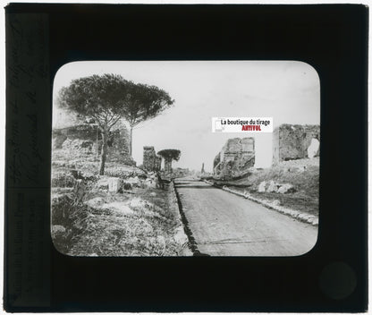 Via Appia, Rome, Italie, photo plaque verre, noir & blanc, positif 8,5x10 cm