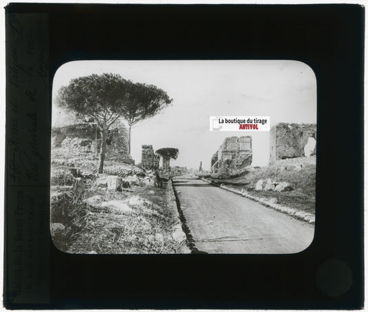 Via Appia, Rome, Italie, photo plaque verre, noir & blanc, positif 8,5x10 cm
