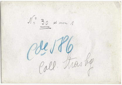 Plaque verre photo négatif noir & blanc 9x14 cm, Rochers Louis-Philippe, Doubs