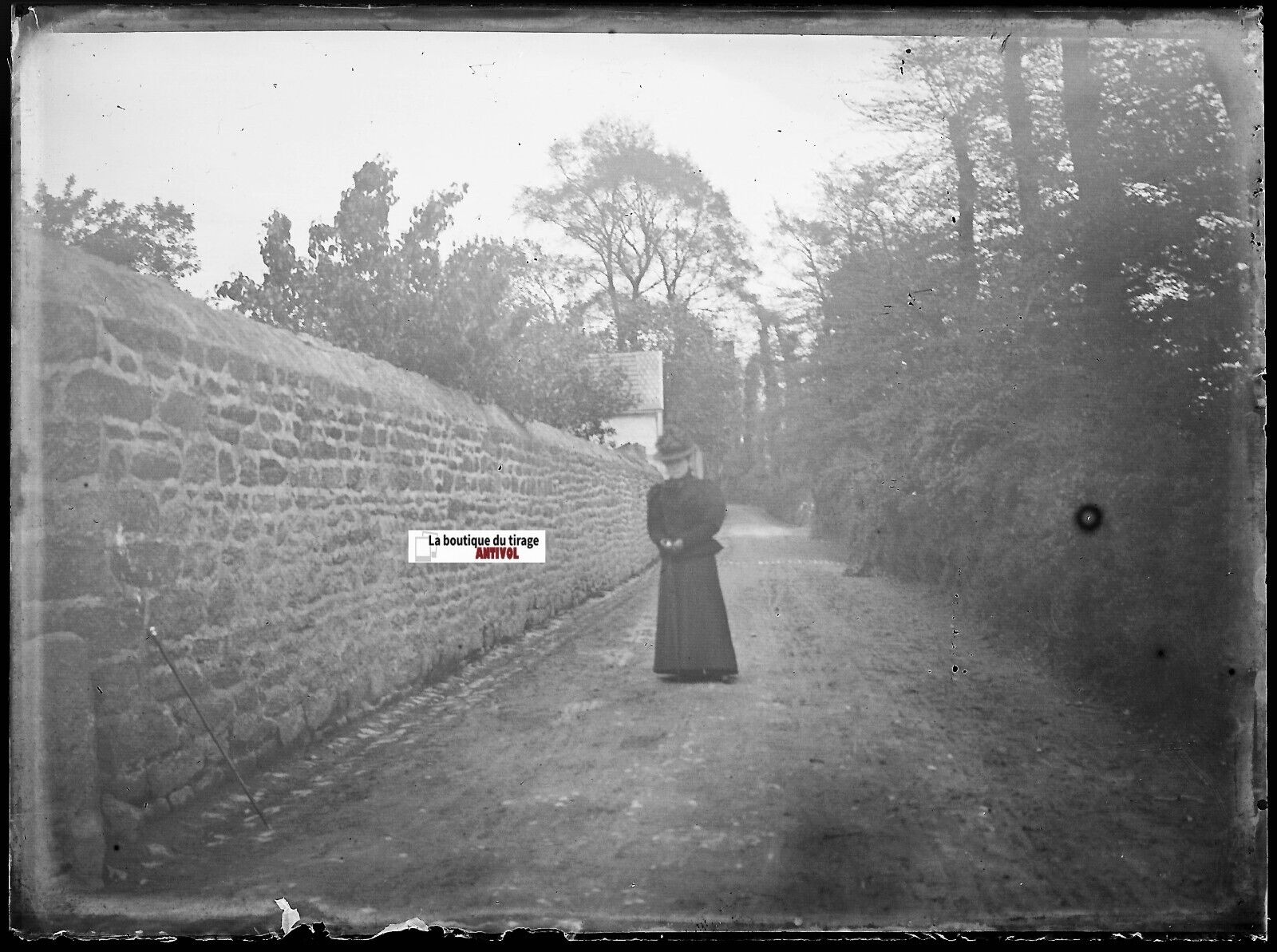 Femme en robe, Plaque verre photo ancienne, négatif noir & blanc 9x12 cm