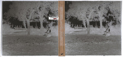 Homme, église, Plaque verre photo ancienne, stéréo négatif noir & blanc 6x13 cm