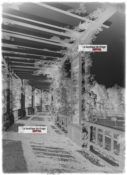 Plaque verre photo ancienne négatif noir et blanc 13x18cm parc public Vittel