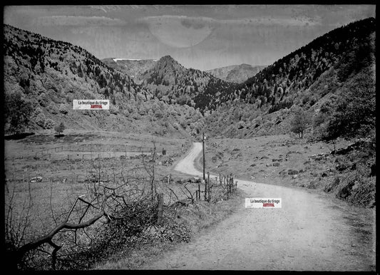 Plaque verre photo ancienne négatif noir et blanc 13x18 cm Hautes-Vosges paysage