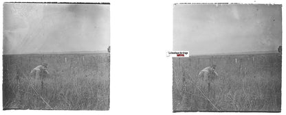 Bataille Somme, Plaque verre stéréo, positif ancien noir & blanc 4,5x10,7 cm