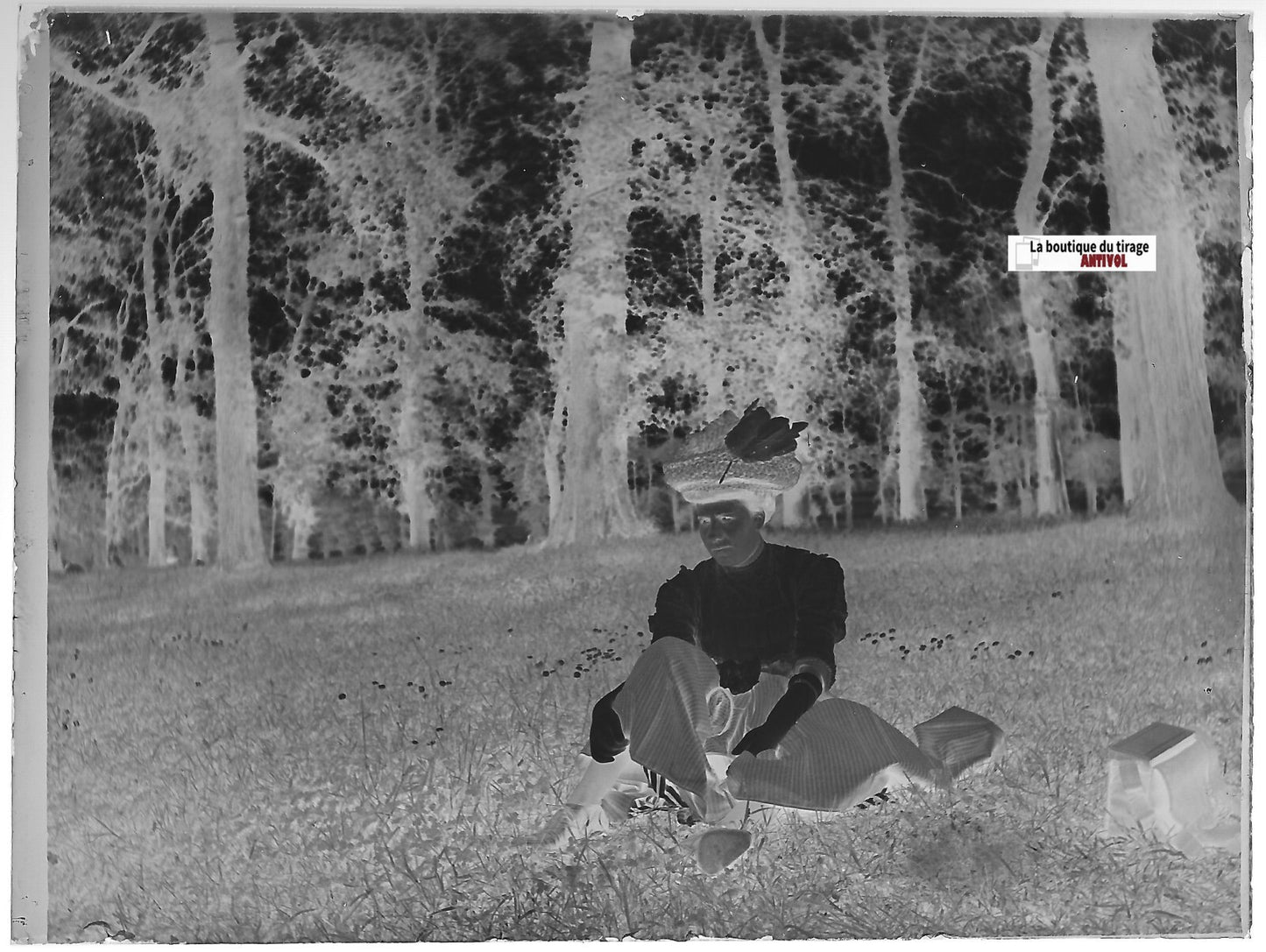 Femme, forêt, France, Plaque verre photo ancienne, négatif noir & blanc 9x12 cm