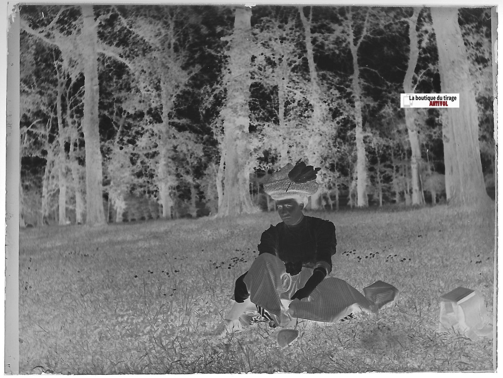 Femme, forêt, France, Plaque verre photo ancienne, négatif noir & blanc 9x12 cm