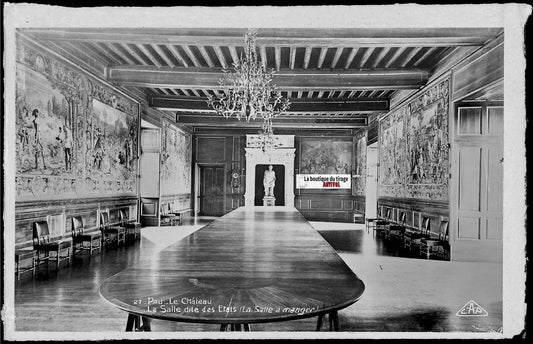 Plaque verre photo négatif noir & blanc 9x14 cm, château de Pau, salle des Etats