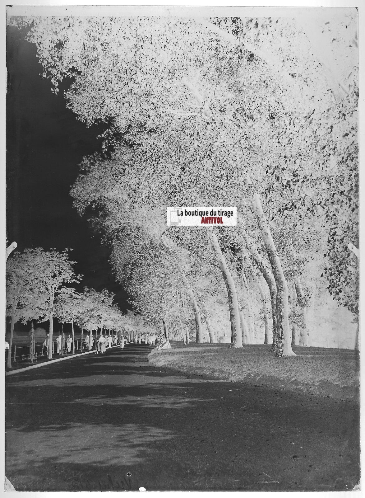 Plaque verre photo ancienne négatif noir et blanc 13x18 cm Vichy rivière Allier