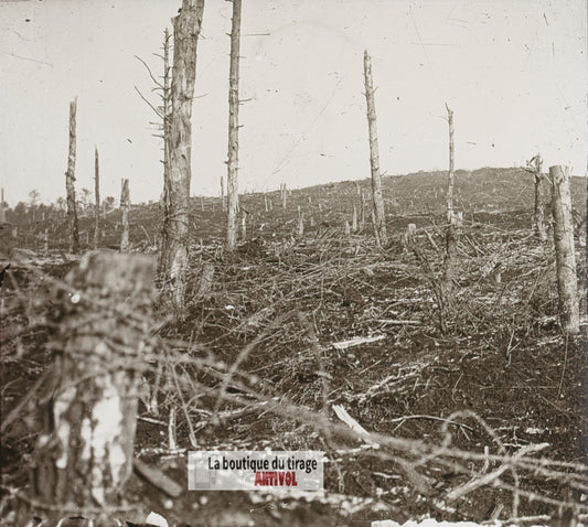 La Chapelotte Vosges, guerre WW1, plaque verre stéréo, photo 4,5x10,7 cm