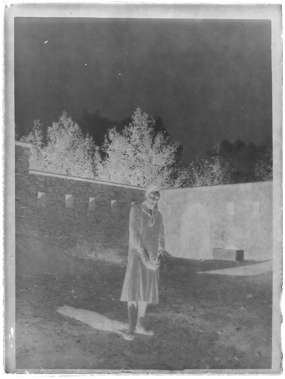 Plaque verre photo ancienne noir et blanc négatif 9x12 cm femme maison jardin