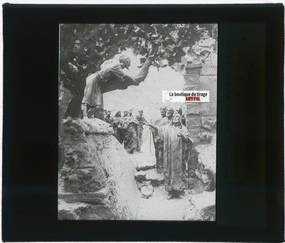 Zachée sur un sycomore, photo plaque verre, noir & blanc, positif 8,5x10 cm