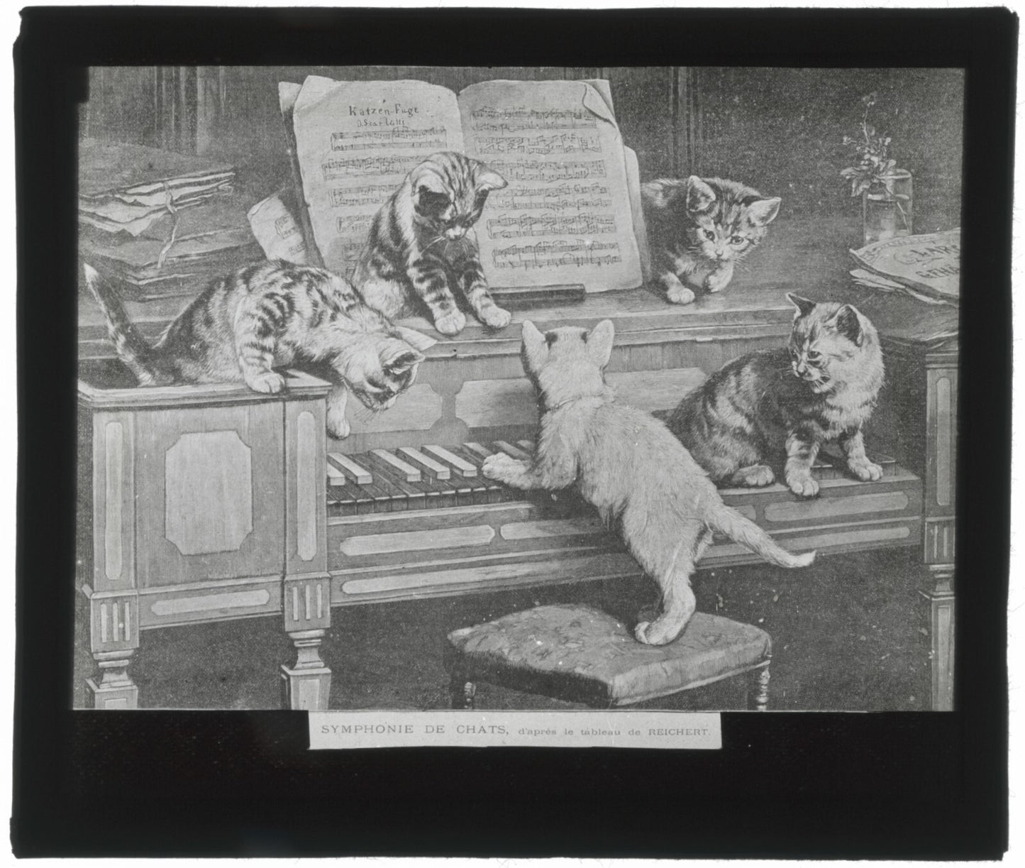 Symphonie de chats, Reichert, peinture, photo plaque verre, positif 8,5x10 cm
