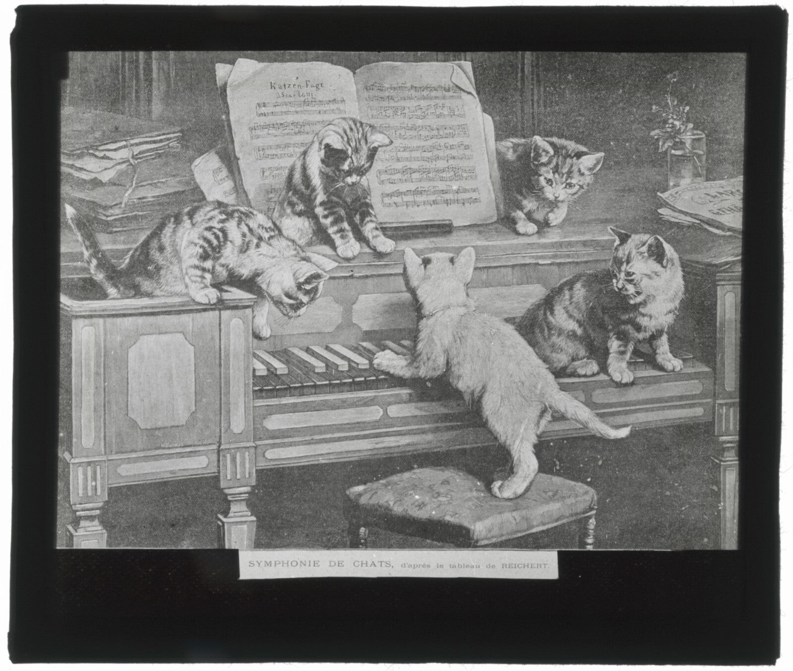 Symphonie de chats, Reichert, peinture, photo plaque verre, positif 8,5x10 cm