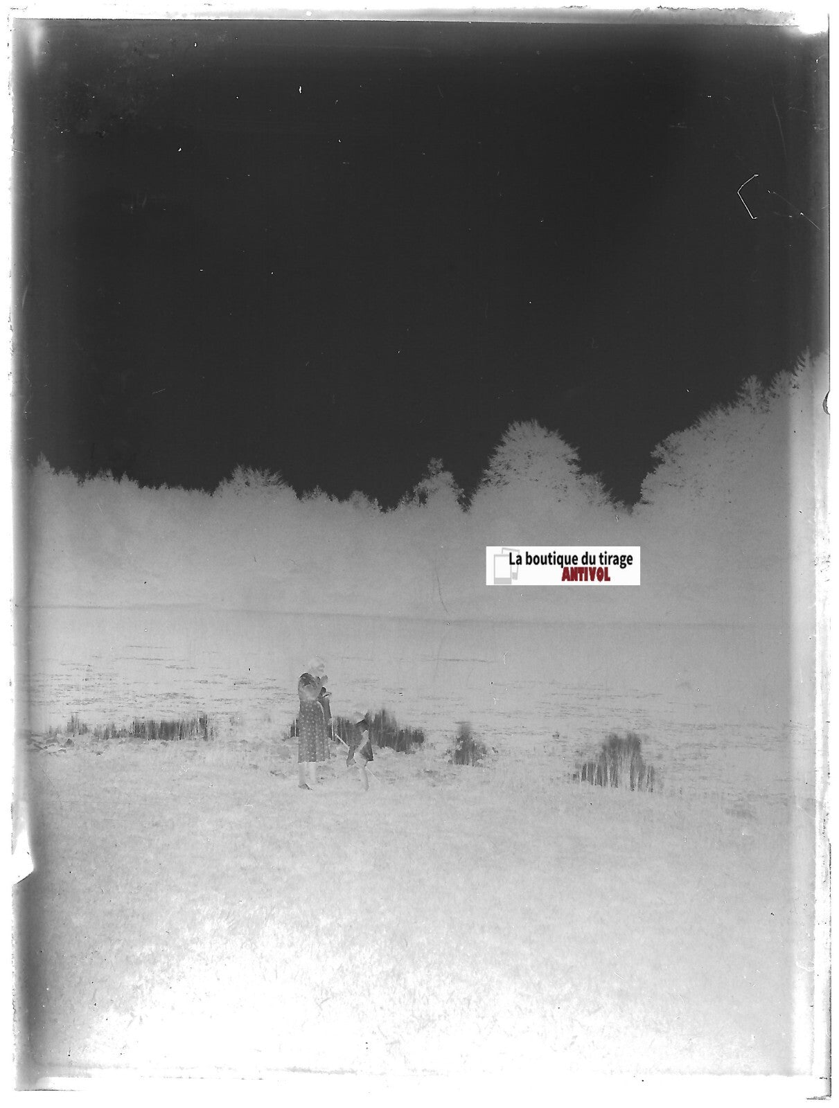 Lac, nature, France, Plaque verre photo ancienne, négatif noir & blanc 9x12 cm