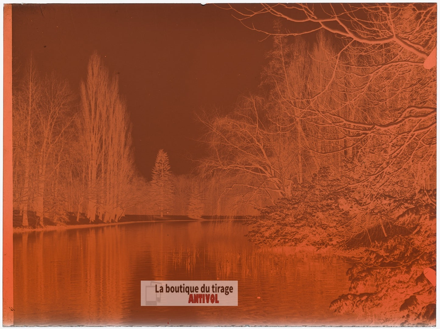 Bois de Boulogne, Paris, plaque verre, photo ancienne, négatif 9x12 cm