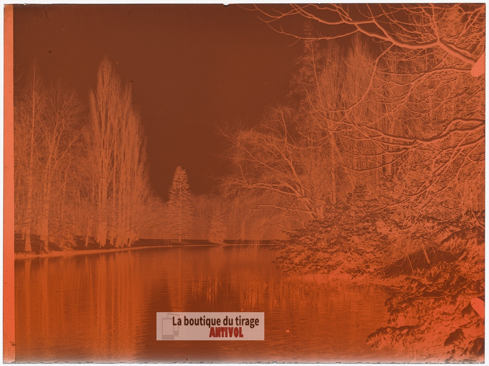 Bois de Boulogne, Paris, plaque verre, photo ancienne, négatif 9x12 cm