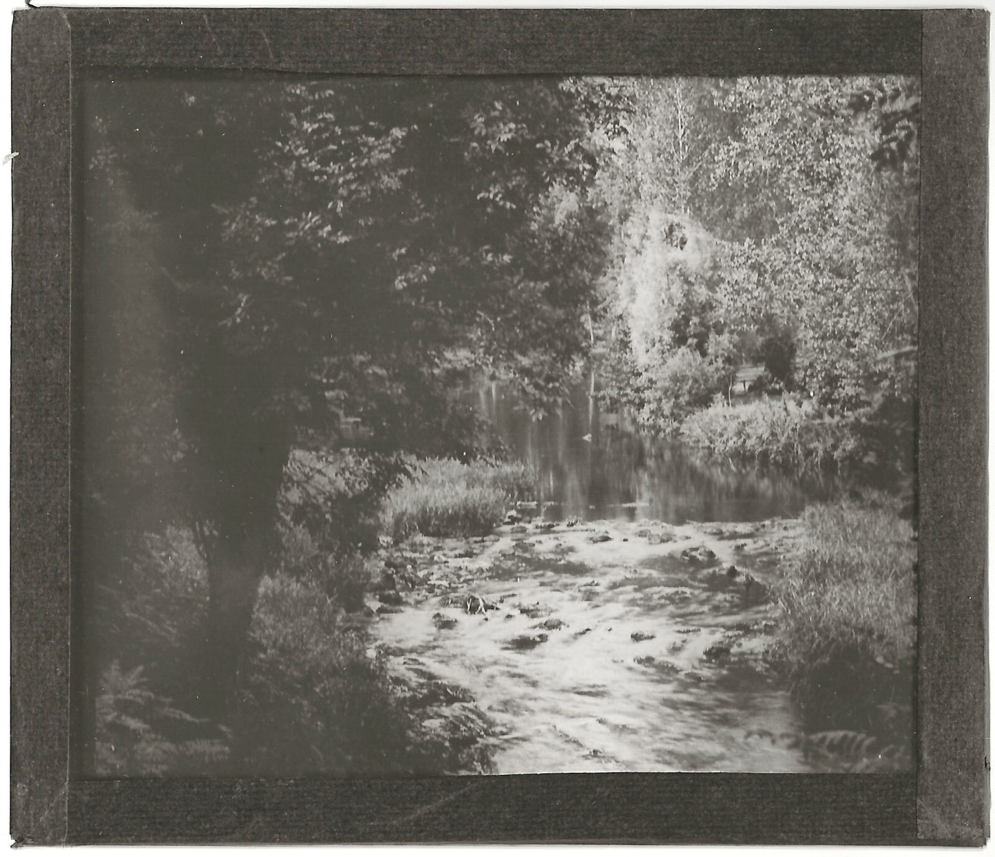 Paysage, nature, rivière, photo ancienne plaque de verre, positif 8,5x10 cm