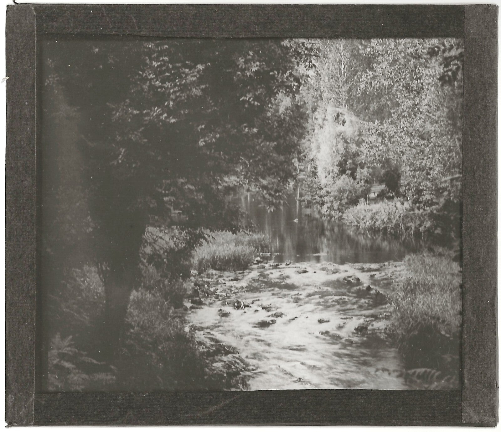 Paysage, nature, rivière, photo ancienne plaque de verre, positif 8,5x10 cm