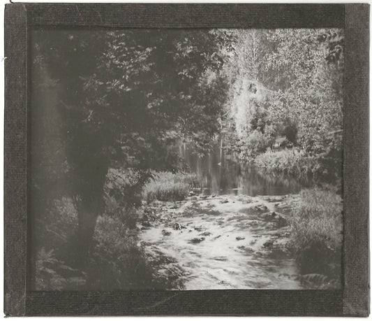 Paysage, nature, rivière, photo ancienne plaque de verre, positif 8,5x10 cm