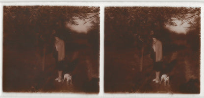 Dame, chien, France, Plaque verre photo stéréo, positif noir & blanc 6x13 cm