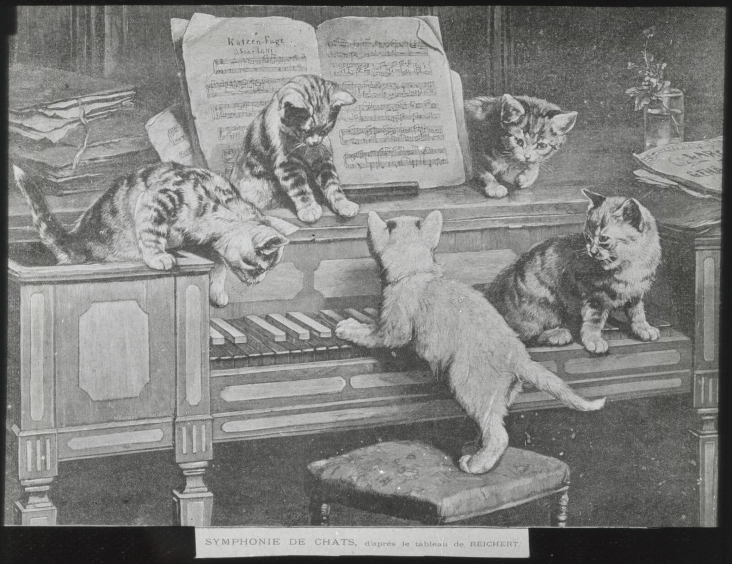 Symphonie de chats, Reichert, peinture, photo plaque verre, positif 8,5x10 cm
