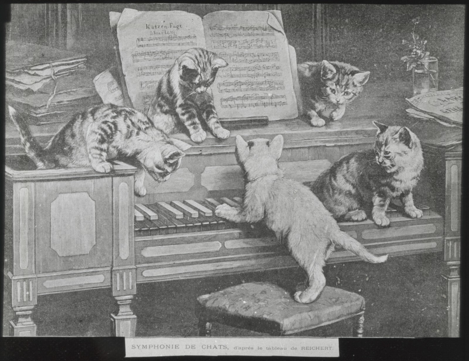 Symphonie de chats, Reichert, peinture, photo plaque verre, positif 8,5x10 cm