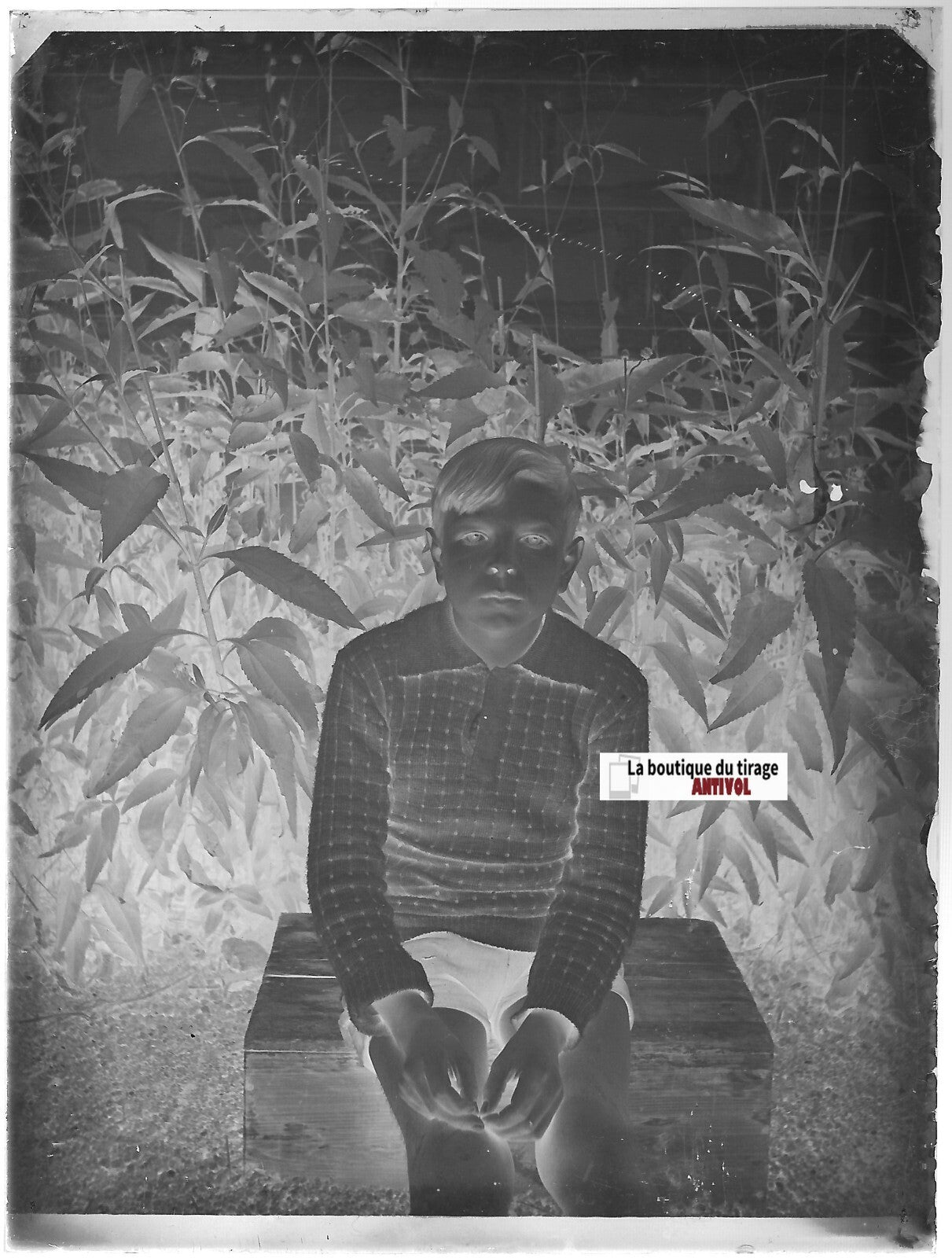 Portrait garçon, Plaque verre photo ancienne, négatif noir & blanc 9x12 cm