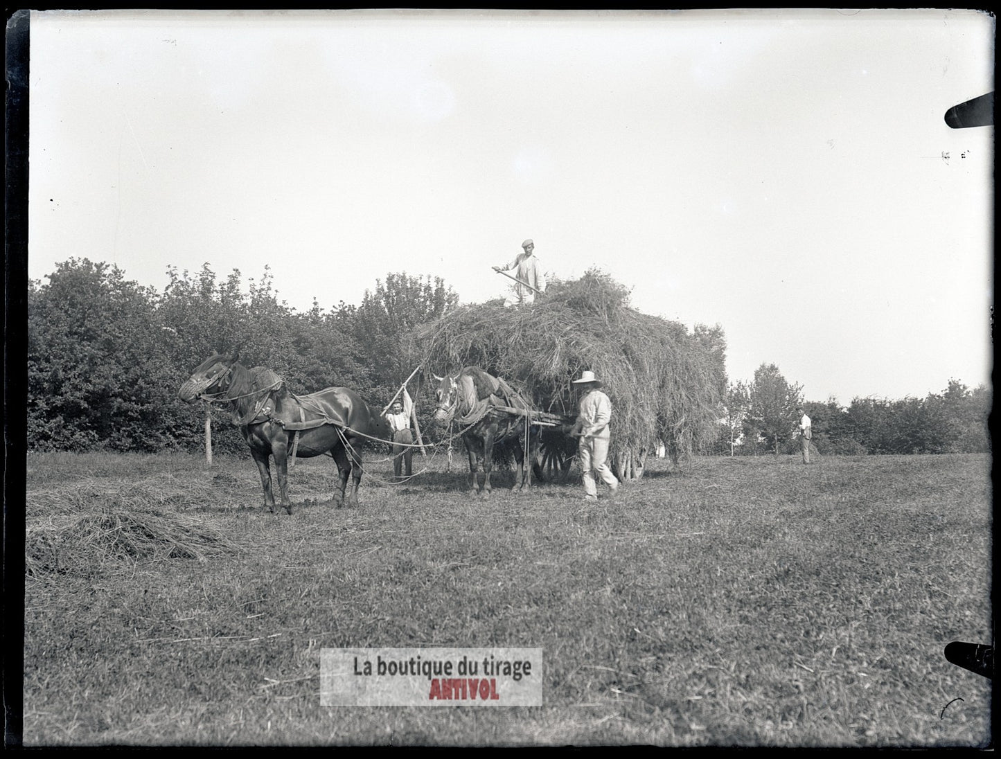 Scène de campagne française, plaque verre, photo ancienne, négatif 9x12 cm