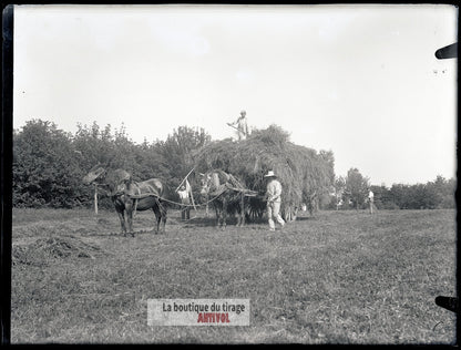 Scène de campagne française, plaque verre, photo ancienne, négatif 9x12 cm