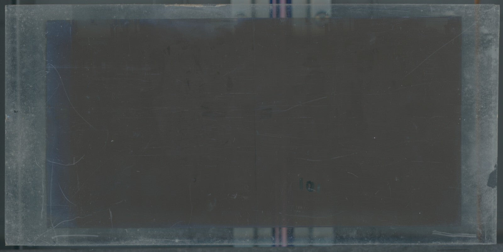 Scène de vie, Longchamp, Paris, plaque verre stéréoscopique, positif 8,5x17 cm