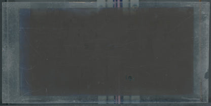 Scène de vie, Longchamp, Paris, plaque verre stéréoscopique, positif 8,5x17 cm