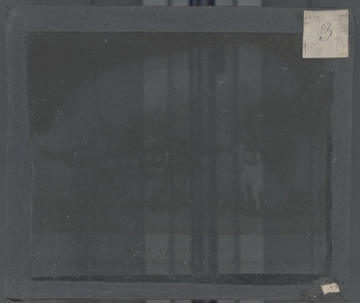 Truie Craonnaise, porcelet, photo ancienne plaque de verre, positif 8,5x10 cm