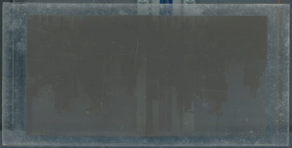 Scène de vie, Longchamp, Paris, plaque verre stéréoscopique, positif 8,5x17 cm