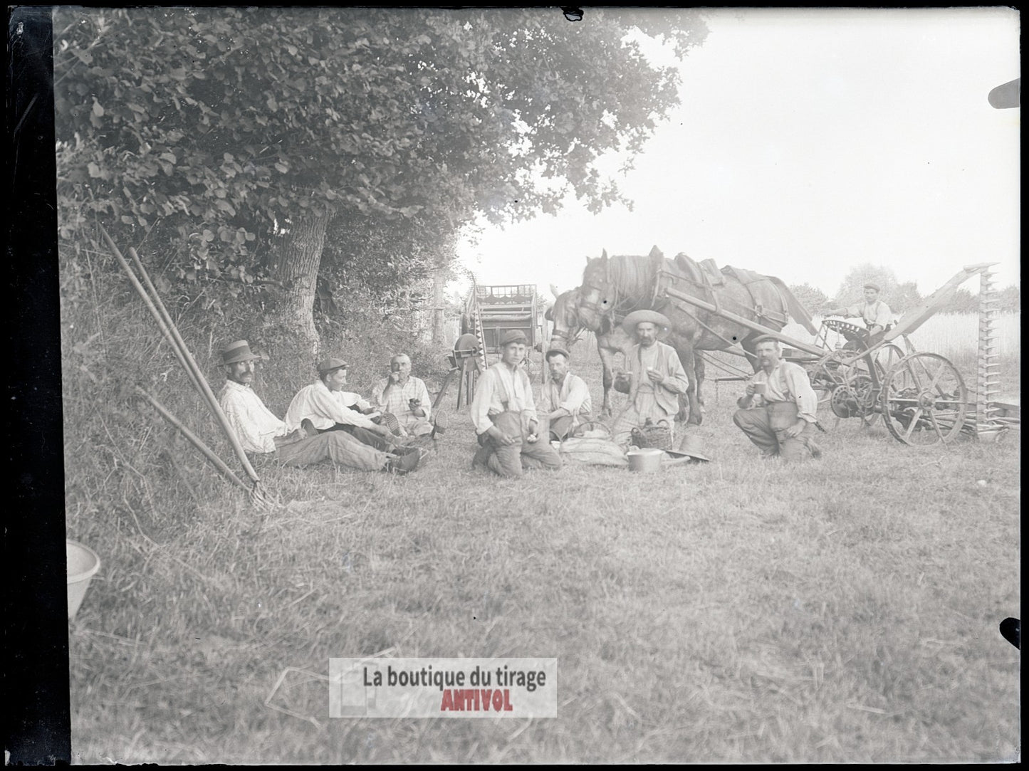 Travailleurs des champs, moissons, plaque verre, photo ancienne, négatif 9x12 cm