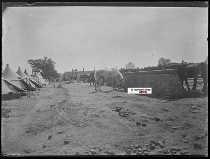 Camp militaire Meucon, Plaque verre photo ancienne, négatif noir & blanc 9x12 cm