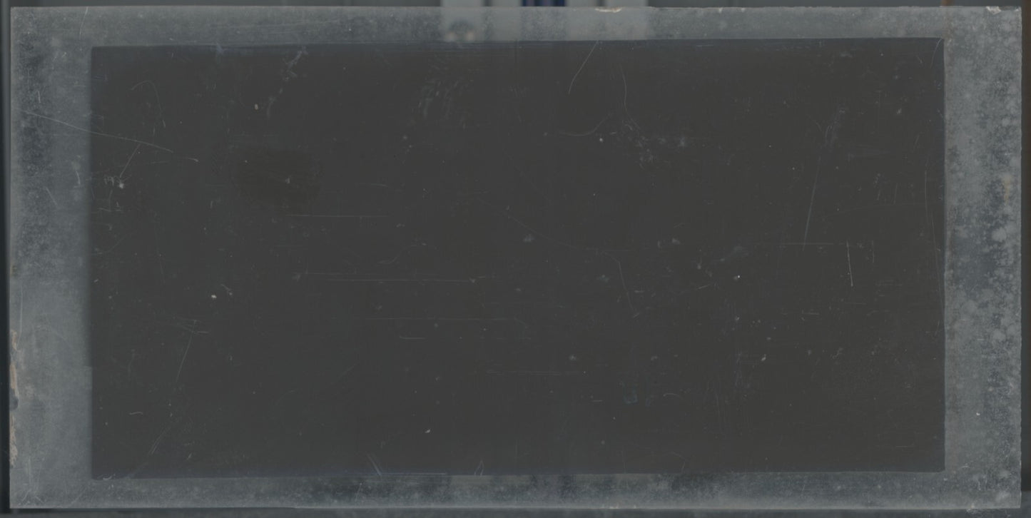 Hippodrome de Longchamp, Paris, plaque verre stéréoscopique, positif 8,5x17 cm