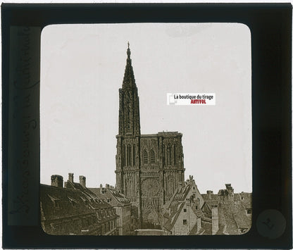 Cathédrale de Strasbourg, photo plaque verre, noir & blanc, positif 8,5x10 cm