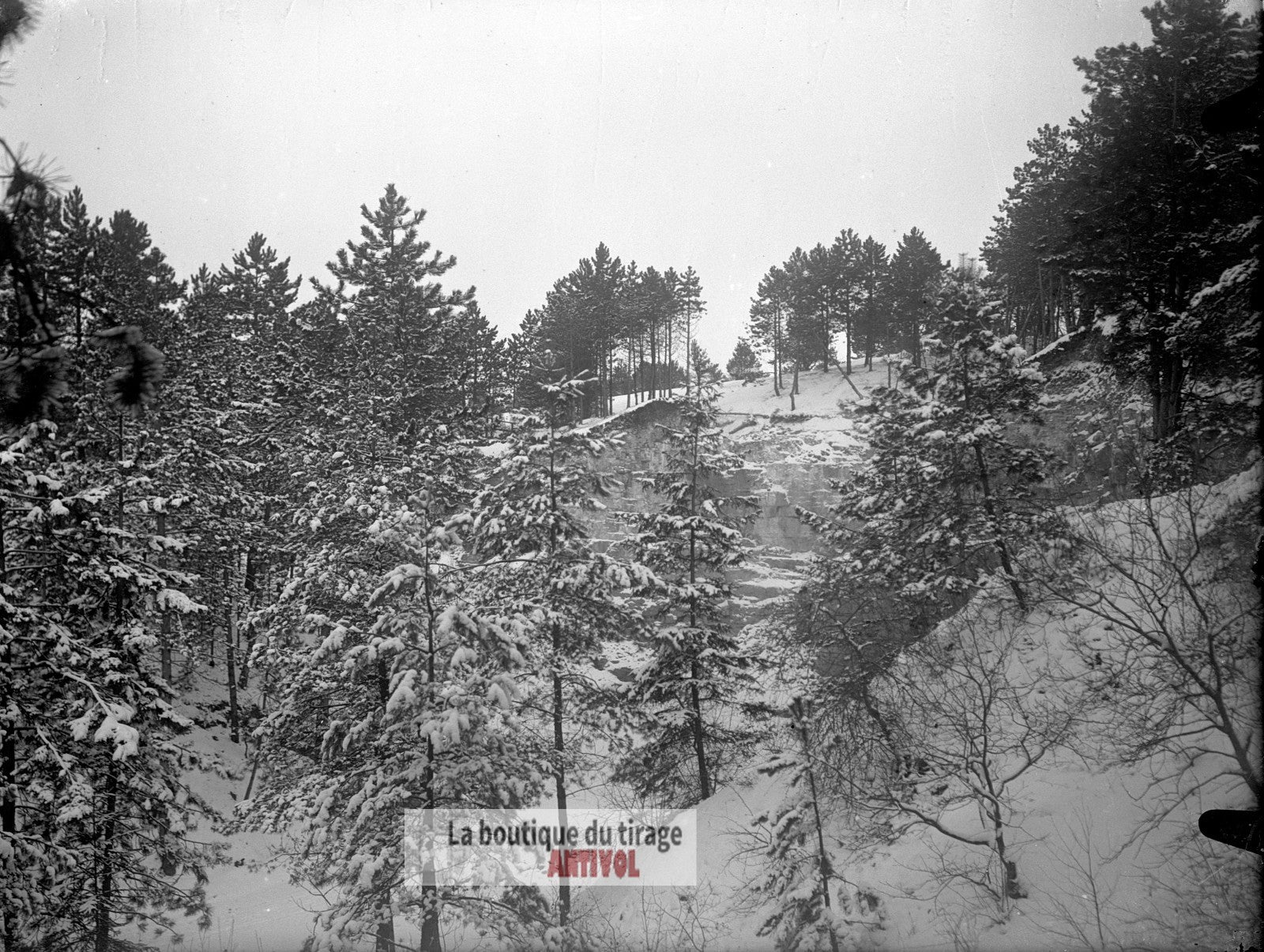 Forêt enneigée, hiver paysage, plaque verre, photo ancienne, négatif 9x12 cm
