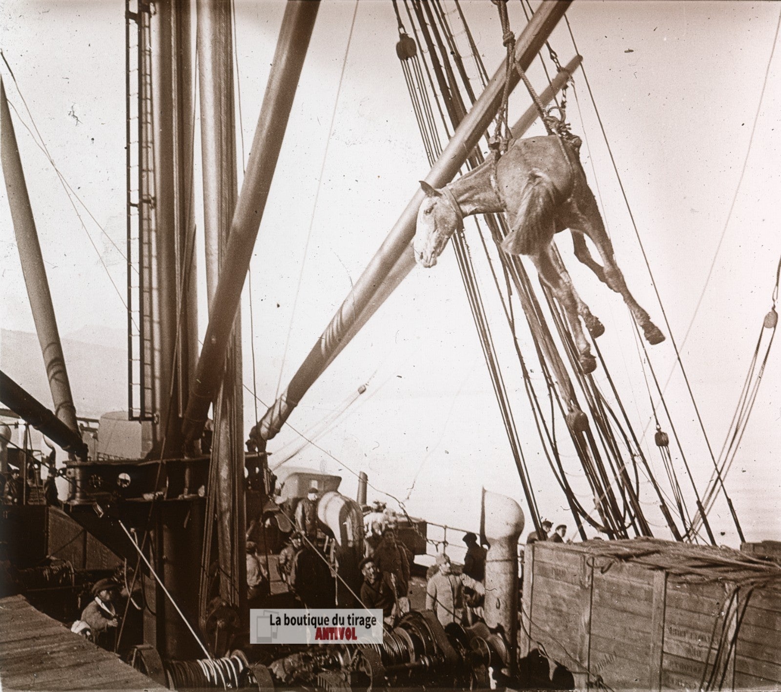 Embarquement de chevaux, bateau, plaque de verre, photo ancienne stéréo 6x13 cm