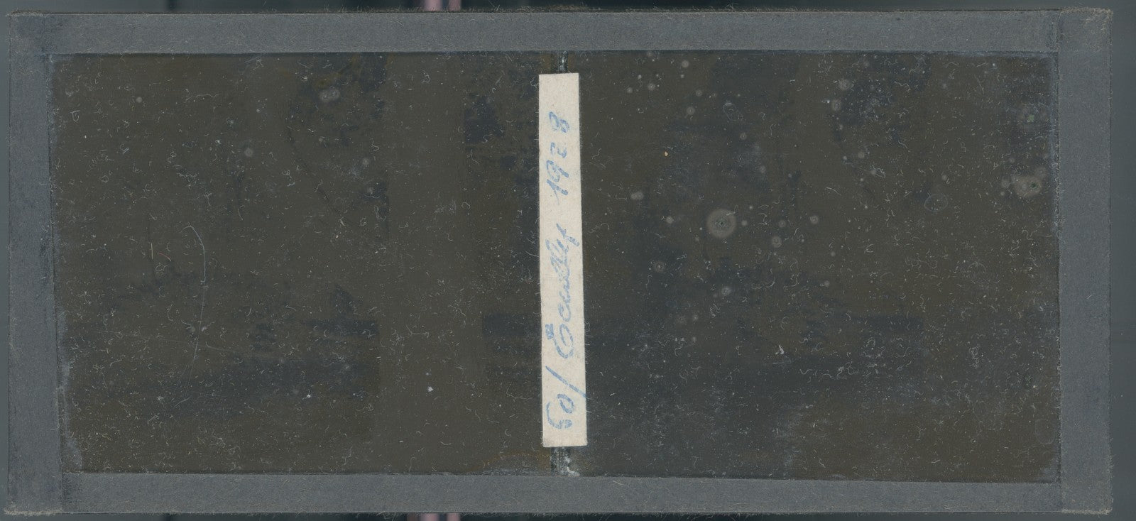 Parc, personnage, Écully, plaque verre, photo ancienne stéréo 6x13 cm Autochrome