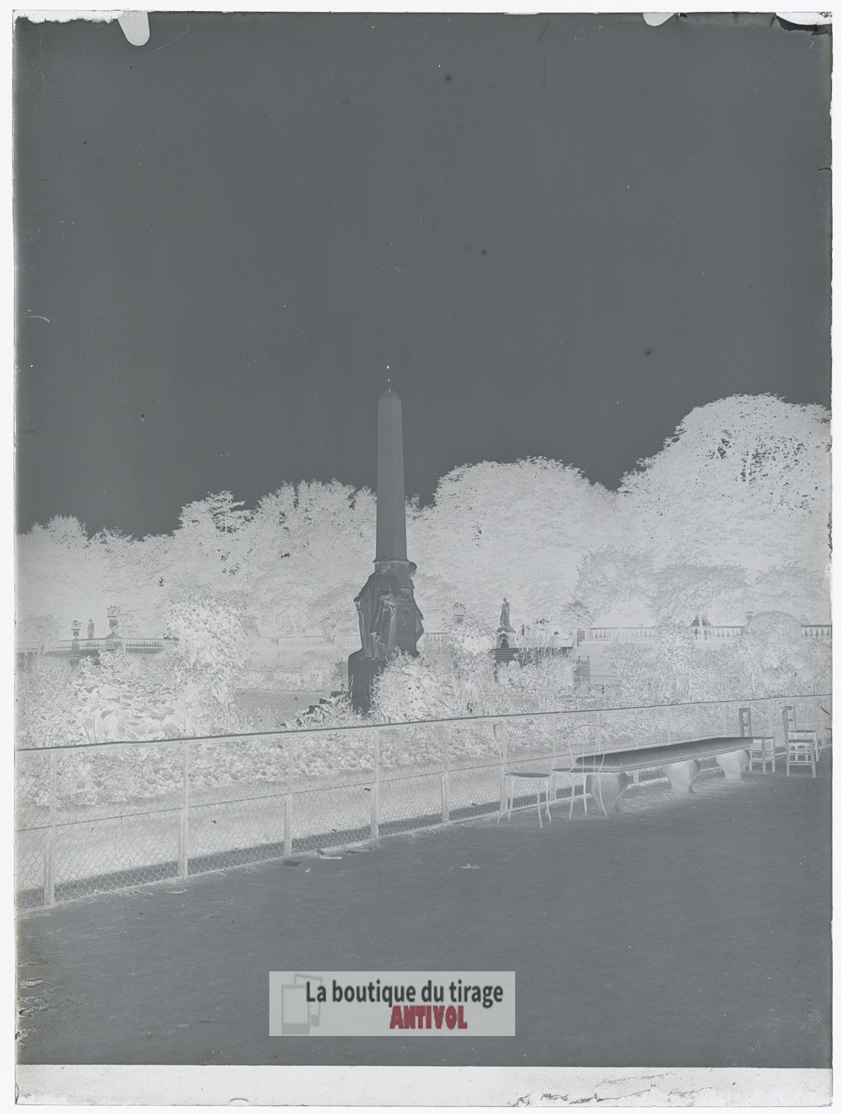Jardin du Luxembourg, Paris, plaque verre, photo ancienne, négatif 9x12 cm