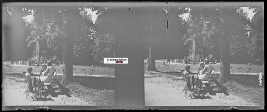 Parc public, Plaque verre photo stéréoscopique, négatif noir & blanc 4,5x10,7 cm