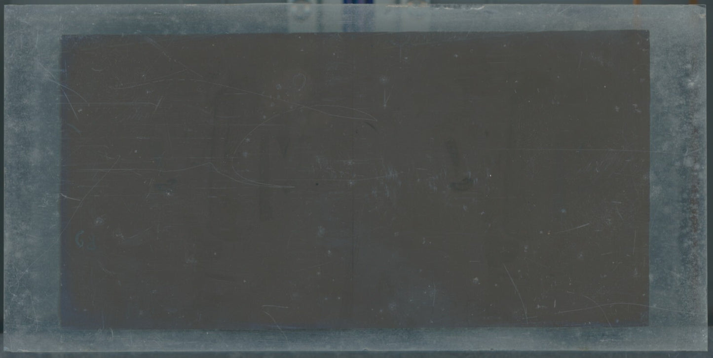 Hippodrome de Longchamp, Paris, stéréoscopie plaque verre, positif 8,5x17 cm