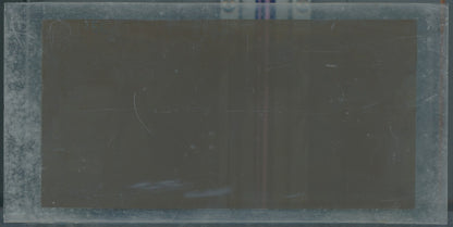 Scène de vie, Longchamp, Paris, plaque verre stéréoscopique, positif 8,5x17 cm