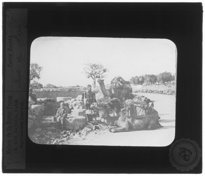 Puits des Mages, Palestine, photo ancienne plaque de verre, positif 8,5x10 cm