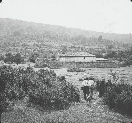 Montagne Grand Margès, Var, photo ancienne plaque de verre, positif 8,5x10 cm