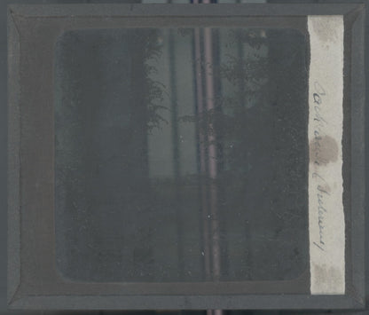 Paysage, campagne, nature, photo ancienne plaque de verre, positif 8,5x10 cm