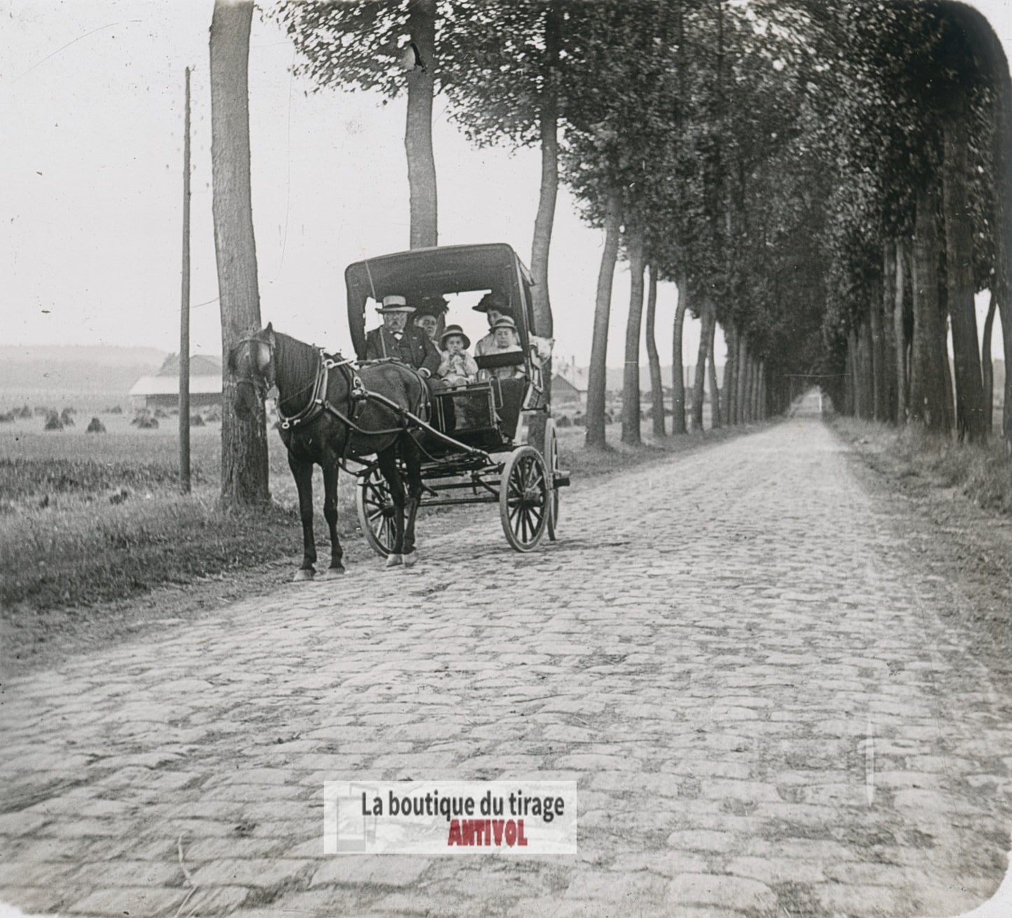 Promenade, voiture hippomobile, plaque verre photo ancienne stéréo 6x13 cm