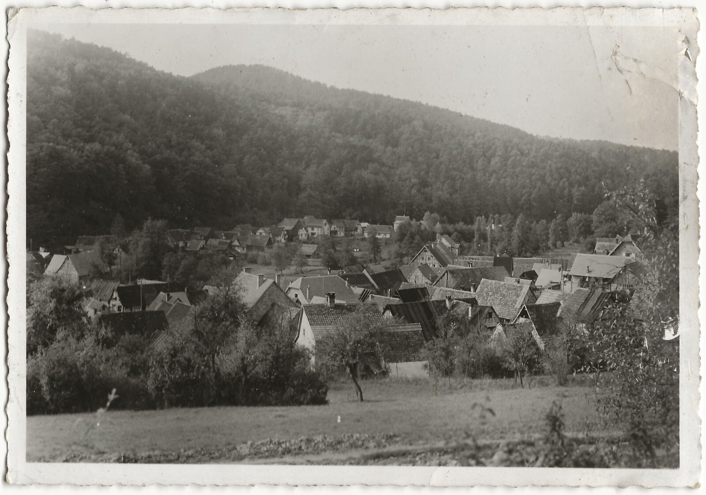 Plaque verre photo ancienne négatif noir & blanc 9x14 cm, Rothbach, village